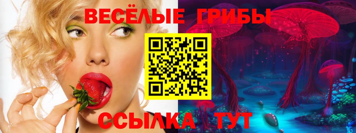 Псилоцибиновые грибы Psilocybe  Вход с VPN  Костомукша 